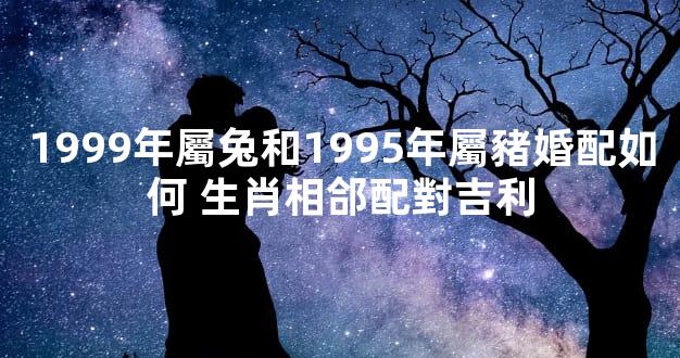 1999年屬兔和1995年屬豬婚配如何 生肖相郃配對吉利